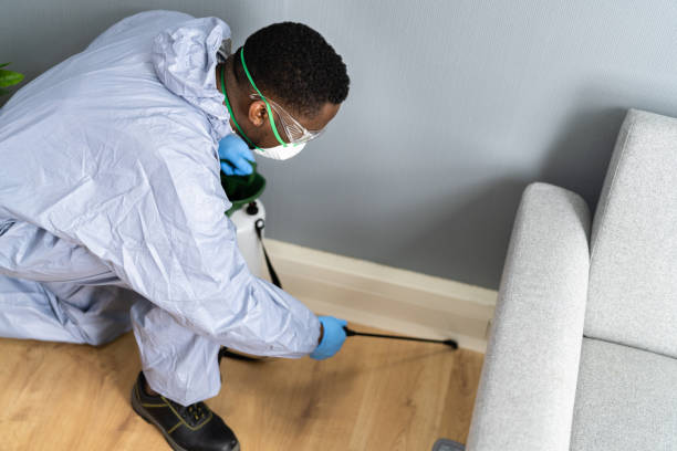 Best Residential Pest Control  in Lyndhurst, OH